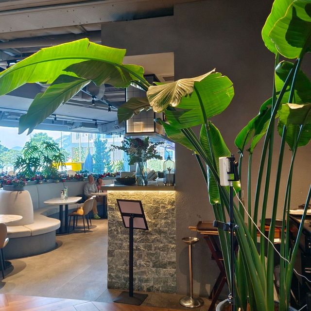 將軍澳南,逛新商場,新餐廳!很有聖誕氣氛! 將軍澳南,逛新商場,新餐廳!很有聖誕氣氛!