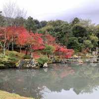 京都紅葉2022 天龍寺の紅葉