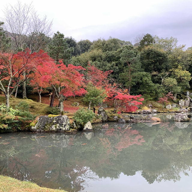 京都紅葉2022 天龍寺の紅葉