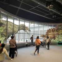 小心！ 🦖🦕嚟啦！
