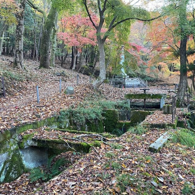 鋪天蓋地的絕美紅葉 – 八瀨紅葉小徑