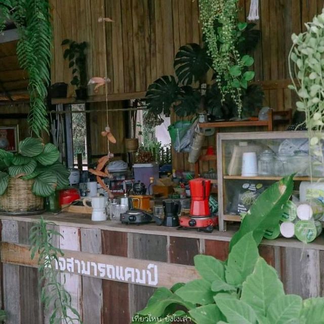 นอนเต็นท์ จิบกาแฟ แลโขง Atsamat Camp l นครพนม