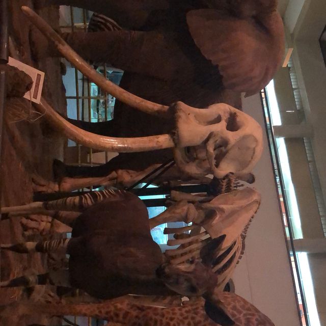 Nairobi National Museum 