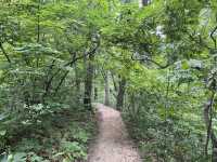 Trail 4 - Indiana Dunes State Park 