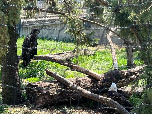 Toledo Zoo and Aquarium - Toledo, USA