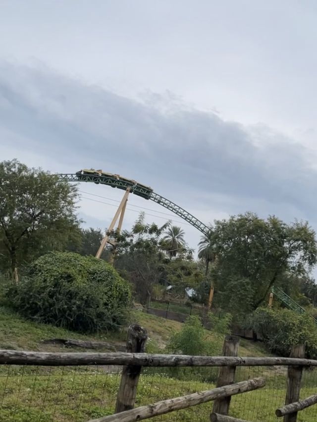 Busch Gardens during Christmas Town season.