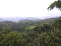 Munmar - Misty Hill Station 