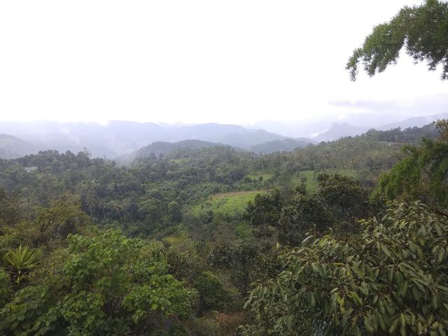 Munmar - Misty Hill Station 