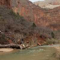 Zion Adventure 