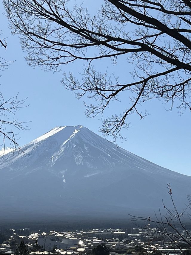 【新倉山浅間公園　富士吉田】