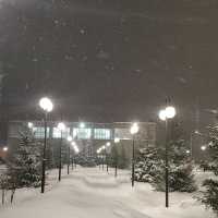 beautiful winter 
