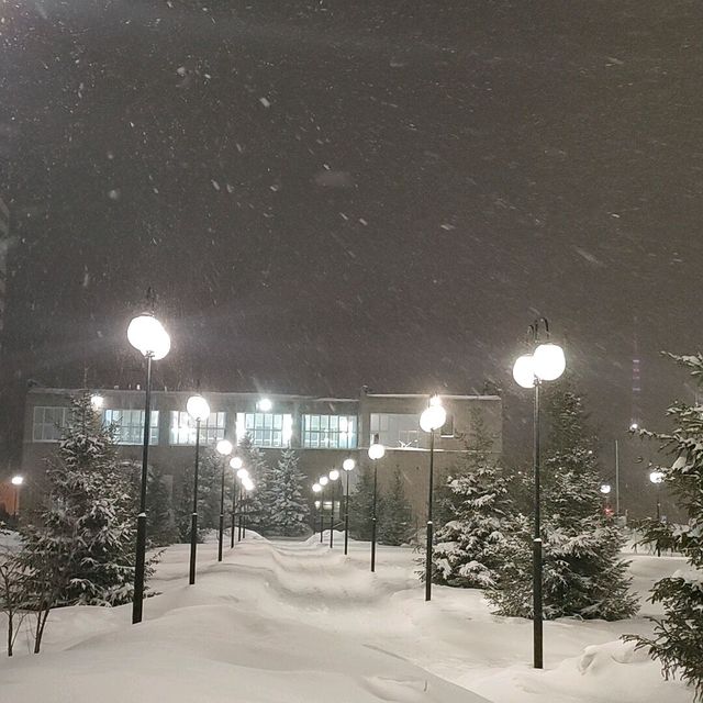 beautiful winter 