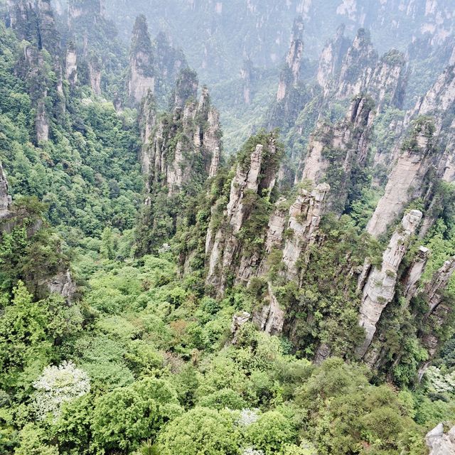 Avatar Mountains, Zhangjiajie, China