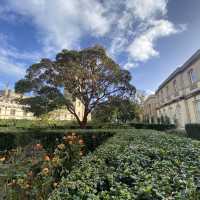 rose garden Oxford