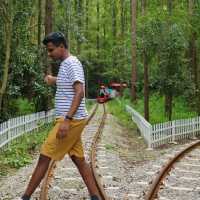 On the track !