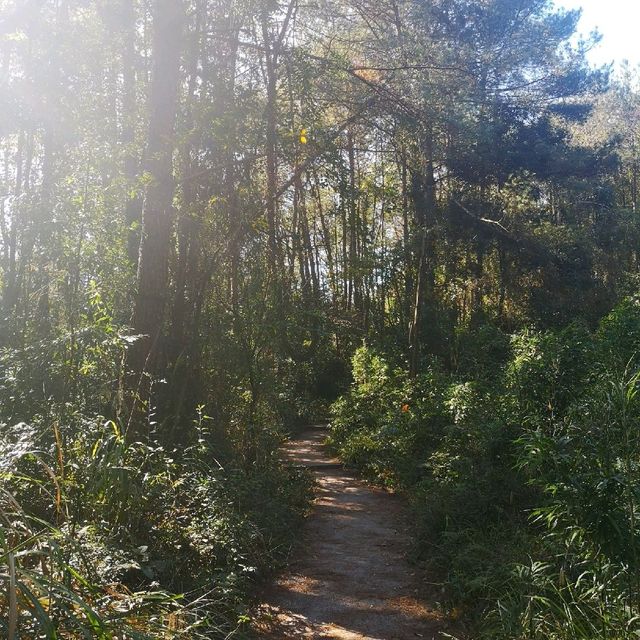 Incredible hike up Bazhai Mountain, Shaoguan