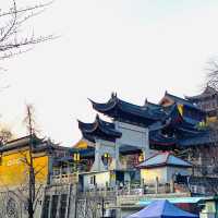 Xuanwu Lake In Spring Time