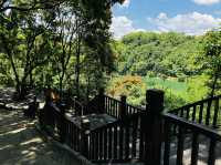 Seeing greenery & rare plants of Zhenshan 