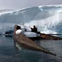 Antarctic Expedition