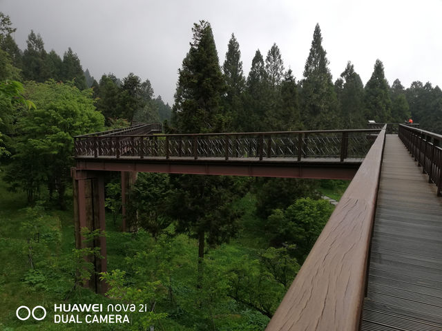 阿里山