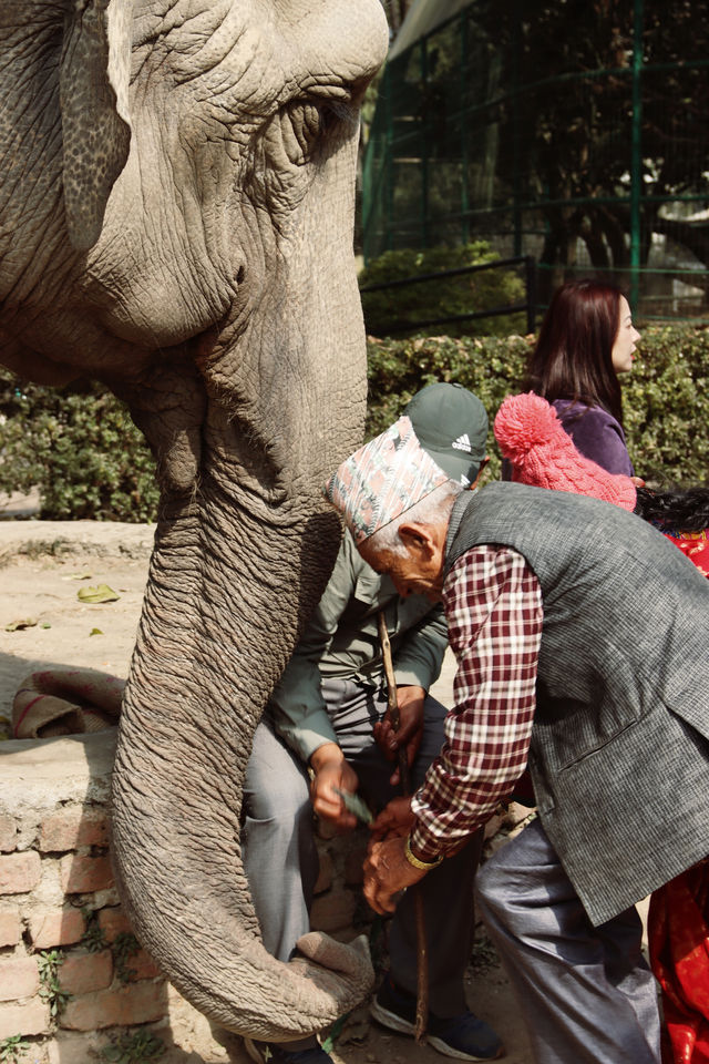 Nepal Kathmandu Central Zoo