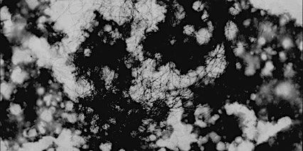 Private View: Immutable, Lowe H Seger | 56a Old Broad Street, London EC2M 1RX, UK