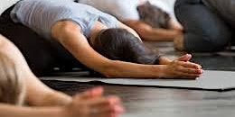 Pilates Harmony - RSVP | Folk at Florence Dock