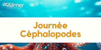 Atelier Céphalopodes | Paris