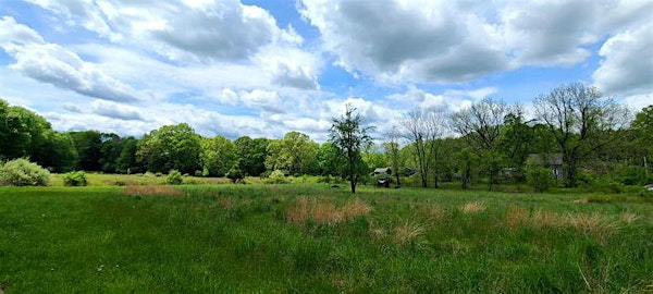 Rooting Sovereignty & Survival: Re-imagining Land and Food for the People | Kingston