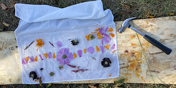Natural Dyeing in the Orchard | Welland Legacy Park & Community Orchard