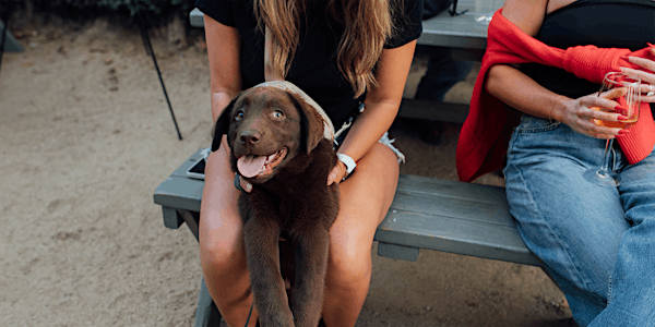 Good Boys Social Club Wine Event | 1922 Pomona Ave
