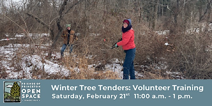 FOPOS Winter Tree Tenders Volunteer Training // February 21st | Mountain Lakes House