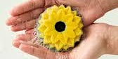 Plant a Sunflower + Support a good cause Lush Norwich | Lush Cosmetics Norwich