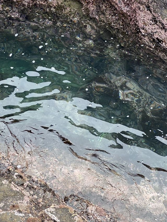 [제주 여행지] 용머리해안