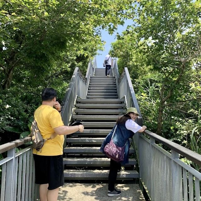 新北瑞芳報時山步道-愜意遠眺陰陽海的步道