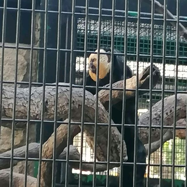 香港動植物公園150週年紀念