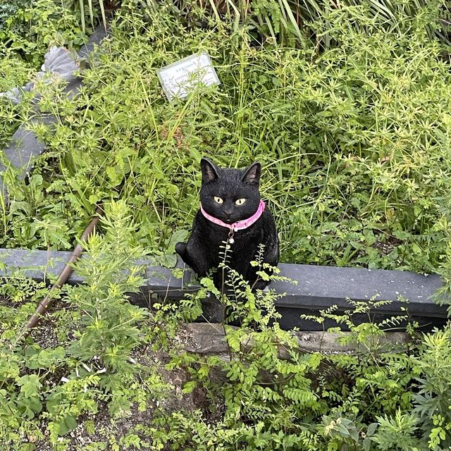 【 好可愛的小貓咪藝術裝置 】 【 好可愛的小貓咪藝術裝置 】