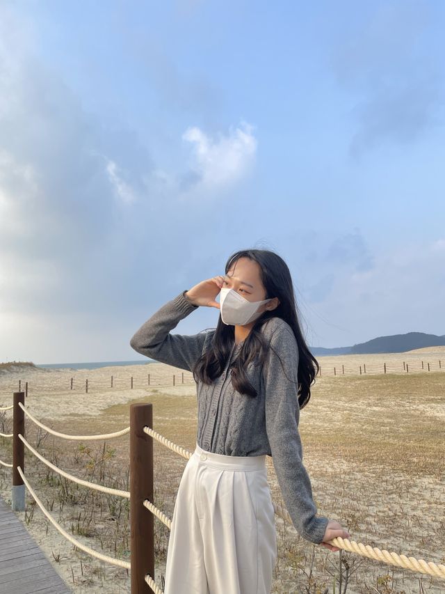 태안 인생샷 명소 :: 태안 신두리 해안사구🌵