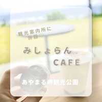 カフェも併設！奄美大島の観光案内所！