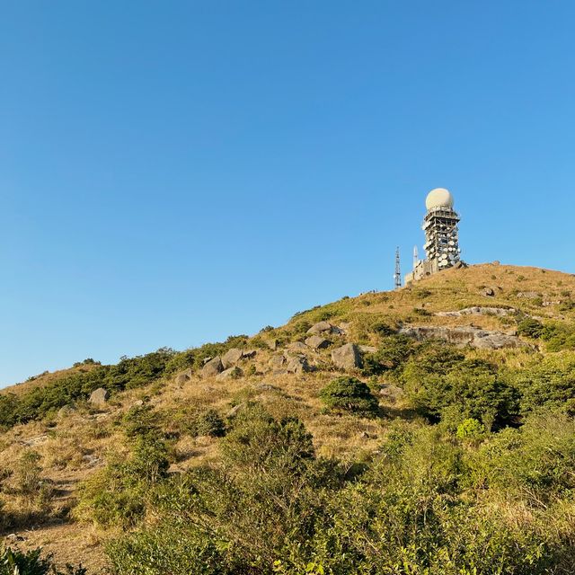 登上去全香港最高的山峰⛰️大帽山之旅