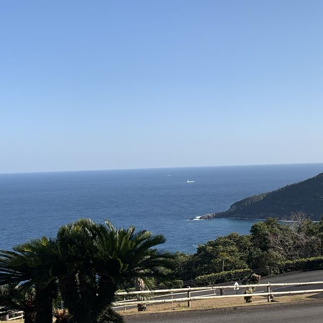 イースター島に行かなくても、モアイ像に会える🗿