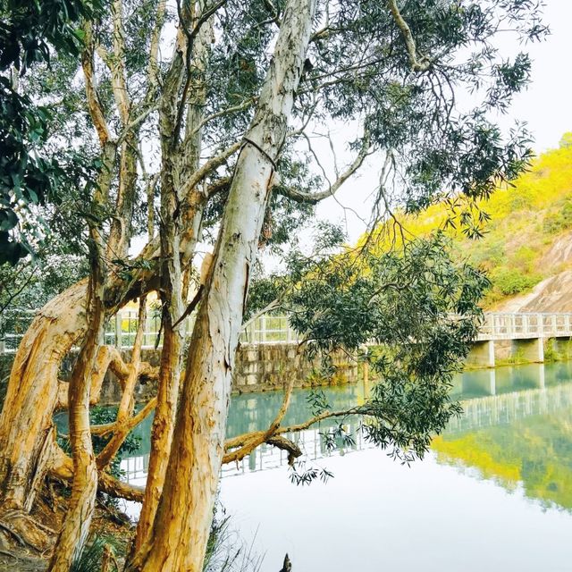 藍地水塘