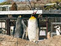 名古屋【東山動植物園】
