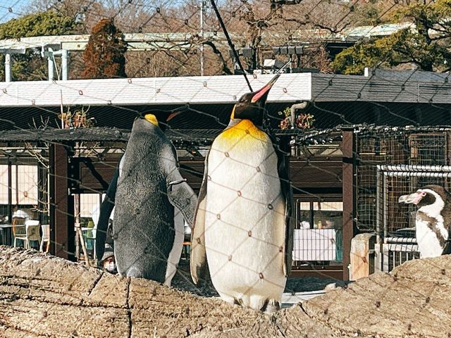 名古屋【東山動植物園】