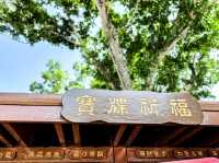 祈福靚境 林村許願樹
