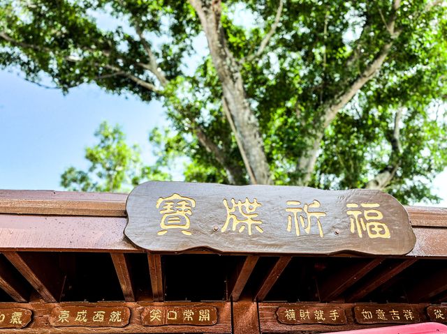 祈福靚境 林村許願樹