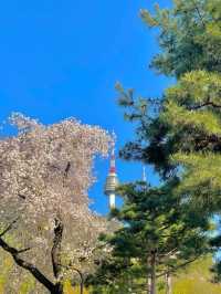 서울의 대표적인 오름, 남산공원+타워
