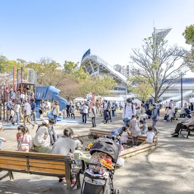 春の横浜公園の遊具エリア