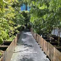 城市中的藝術綠洲