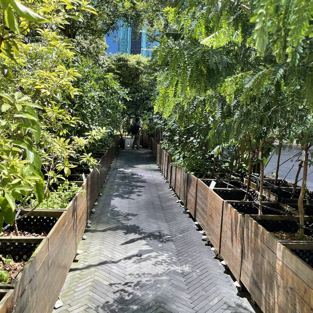 城市中的藝術綠洲